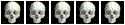 …If I die, I die …If I die, I die